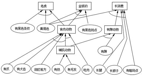 人工智能基礎(chǔ)軟件項(xiàng)目開發(fā)實(shí)踐 以動(dòng)物識(shí)別產(chǎn)生式系統(tǒng)為例
